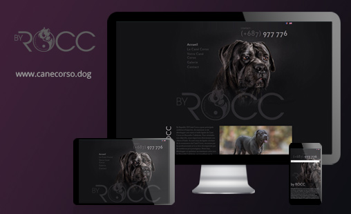 Site ROCC